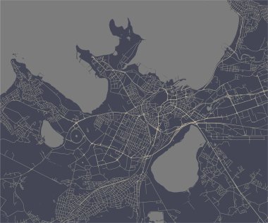 vektör haritası Tallinn, Estonya