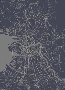 Vektör harita Saint Petersburg, Rusya Federasyonu