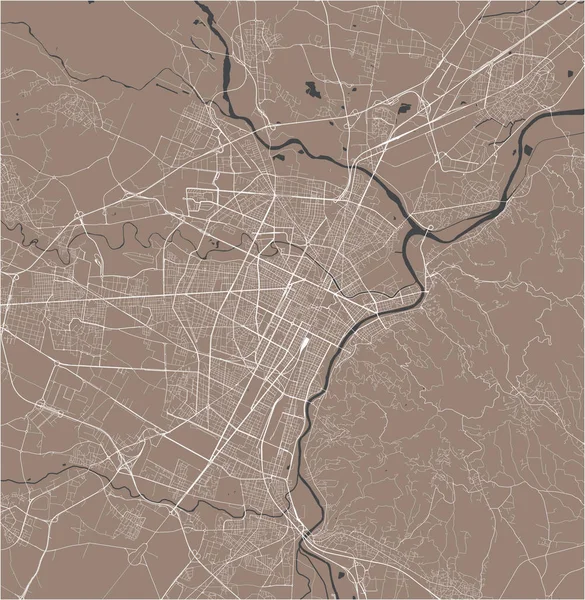 Kaart van de stad Torino, Turijn, Italië — Stockvector