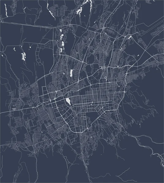 Mapa de la ciudad de Almaty, Kazajstán — Vector de stock