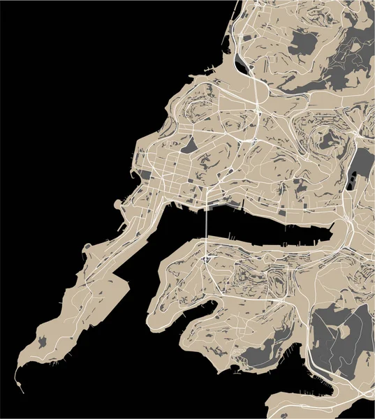 Carte de la ville de Vladivostok, Russie — Image vectorielle