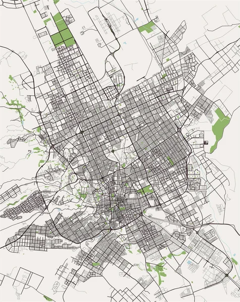 Kaart van de stad Riyad, Saudi-Arabië — Stockvector