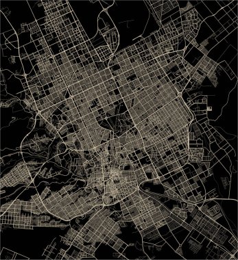 Riyad şehrinin vektör haritası, Riyad Eyaleti, Suudi Arabistan