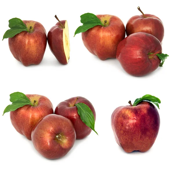 Birçok farklı elma beyaz bir arka plan üzerinde kırmızı ve sarı elma olmadan arka planda, çok farklı. — Stok fotoğraf