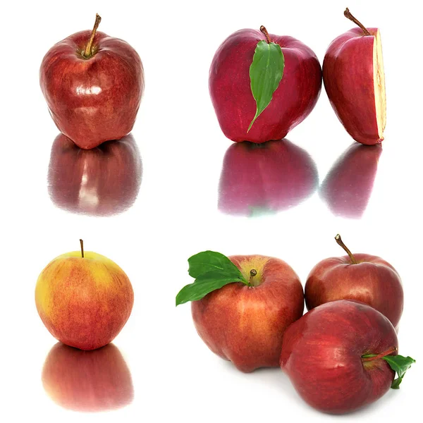 Beaucoup de pommes différentes sur un fond blanc, pommes rouges et jaunes sans fond, beaucoup de différents . — Photo