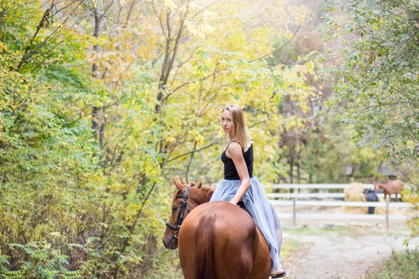 Mladá, blond dívka pózuje s koněm, krásná dívka a silné koně. — Stock fotografie