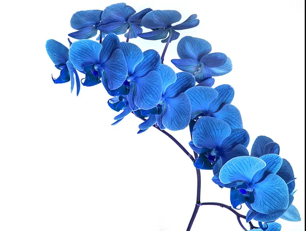 Ayollar erlari va dostlari bilan sikishadi Gozallar bilan yakkaxon porno