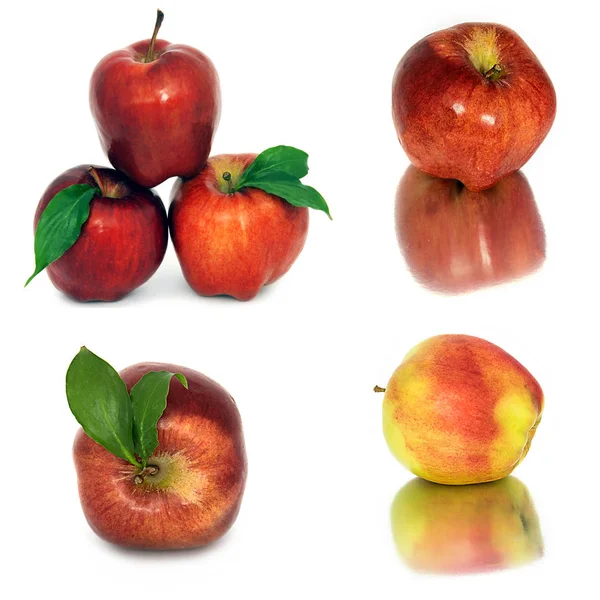 Sok különböző alma, fehér alapon, piros és sárga Alma nélkül háttérrel, sok különböző. — Stock Fotó