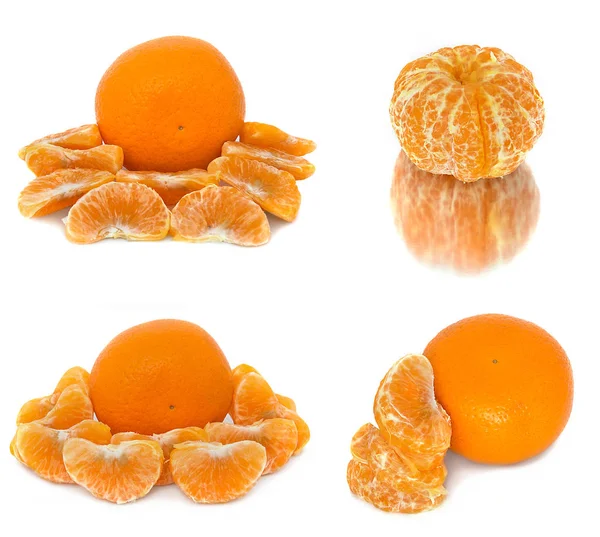 Mandarinas várias opções diferentes em um fundo branco. Citrinos sem fundo . — Fotografia de Stock