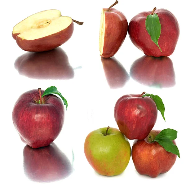 Muchas manzanas diferentes sobre un fondo blanco, manzanas rojas y amarillas sin fondo, muchas diferentes . — Foto de Stock