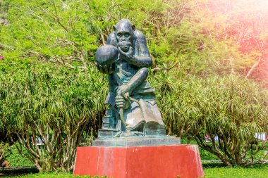 Taş, mantıklı insan kafatası üzerinde poz maymun heykeli yapılmış.