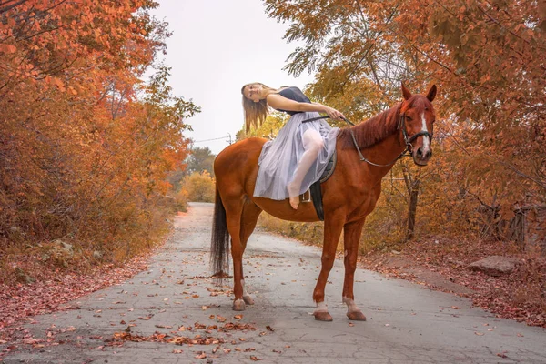 Mladá, blond dívka pózuje s koněm, krásná dívka a silné koně. — Stock fotografie