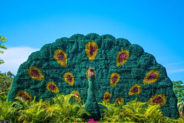 Budist merkezi açık havada. Kültür ve din parkta. Park ve güzel çiçek içine yüksek kapısı 