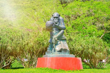 Taş, mantıklı insan kafatası üzerinde poz maymun heykeli yapılmış.