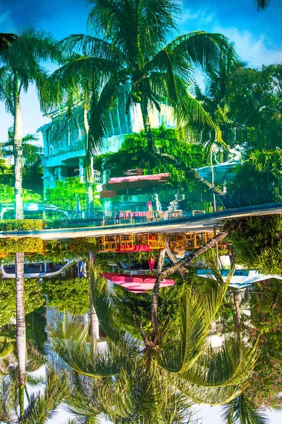 Krásné, vysoké palmy u bazénu, Palma se odráží ve vodní nádrže — Stock fotografie