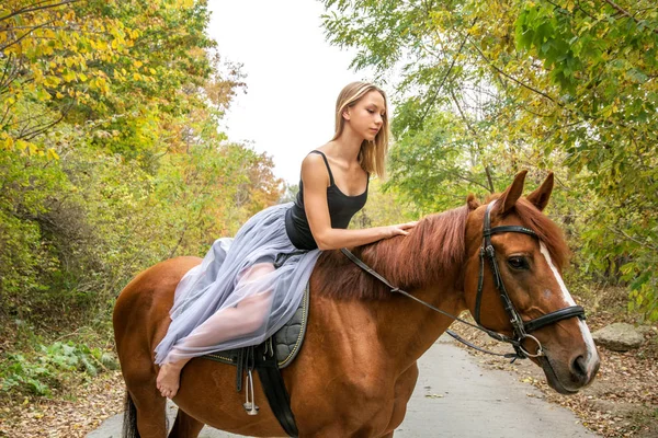 Uma jovem, menina loira posando com um cavalo, uma menina bonita e um cavalo forte . — Fotografia de Stock