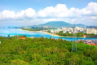 beyaz kum ve palmiye ağaçları, turkuaz deniz ile lagün güzel manzarasına. En baştan görüntüleyin. Monkey Island