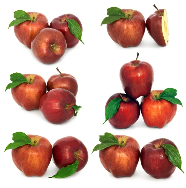 Wiele różnych jabłka na białym tle, czerwony i żółty jabłka bez tła, wiele różnych. — Zdjęcie stockowe