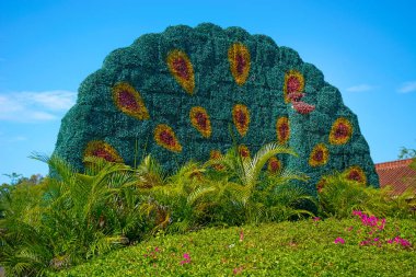 Budist merkezi açık havada. Kültür ve din parkta. Park ve güzel çiçek içine yüksek kapısı 