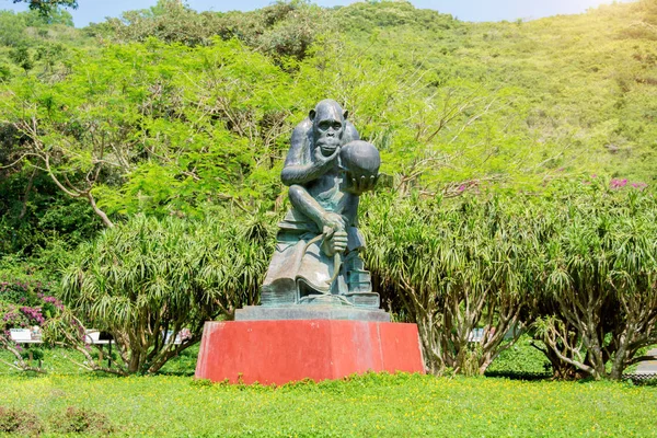 Taş, mantıklı insan kafatası üzerinde poz maymun heykeli yapılmış.