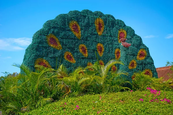 Budist merkezi açık havada. Kültür ve din parkta. Park ve güzel çiçek içine yüksek kapısı 