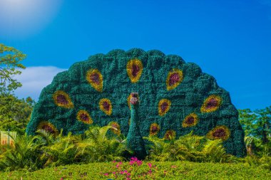 Budist merkezi açık havada. Kültür ve din parkta. Park ve güzel çiçek içine yüksek kapısı 