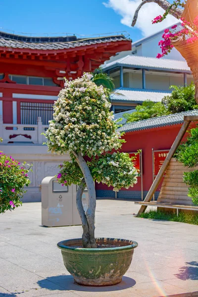 Buddhist Park, open space, many statues and beautiful places on the island of Sanya.