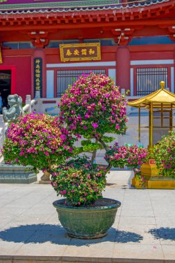 Budist Park, açık alan, birçok heykel ve güzel yerleri Sanya Island üzerinde.