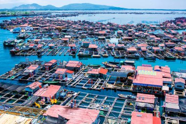 beyaz kum ve palmiye ağaçları, turkuaz deniz ile lagün güzel manzarasına. En baştan görüntülemek.
