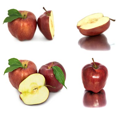 birçok farklı elma beyaz bir arka plan üzerinde kırmızı ve sarı elma olmadan arka planda, çok farklı.