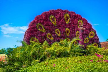 Budist merkezi açık havada. Kültür ve din parkta. Park ve güzel çiçek içine yüksek kapısı 