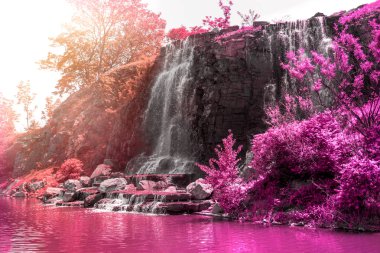 güneş ışığı, yeşil ormanlarla çevrili çok güzel su jetleri altında güzel şelale. 