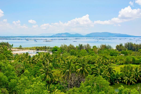 Hermosa vista de la laguna con arena blanca y palmeras, mar turquesa. vista desde la parte superior . — Foto de Stock