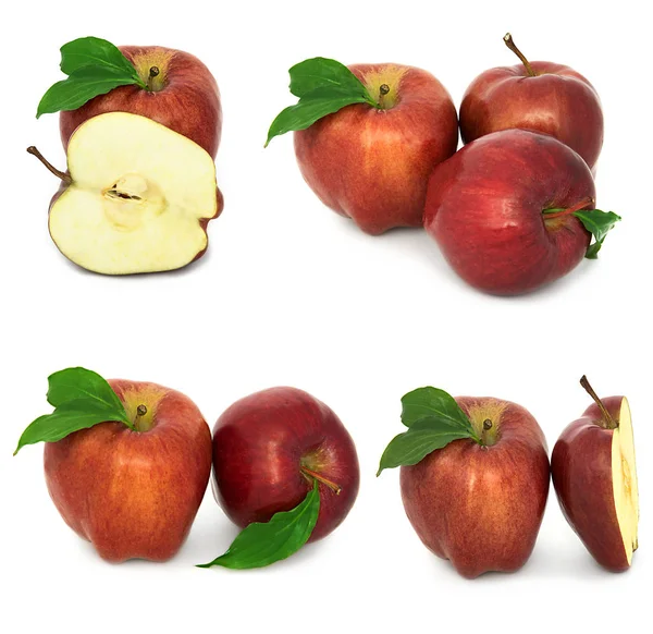 Mnoho různých jablka na bílém pozadí, červené a žluté jablka bez zázemí, mnoho různých. — Stock fotografie