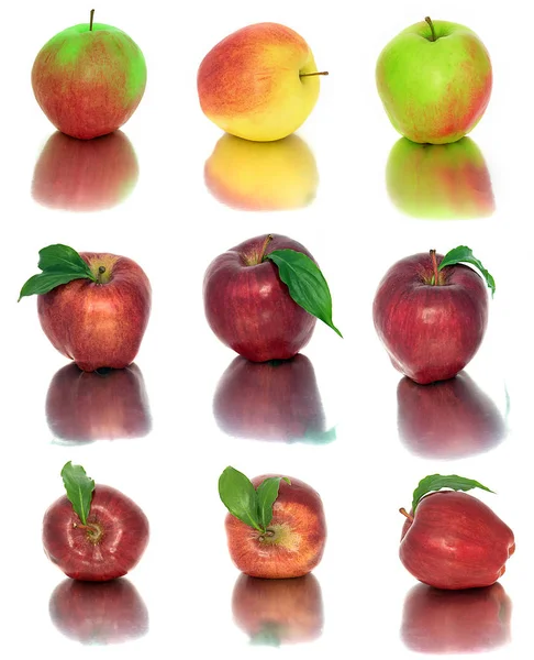 Wiele różnych jabłka na białym tle, czerwony i żółty jabłka bez tła, wiele różnych. — Zdjęcie stockowe