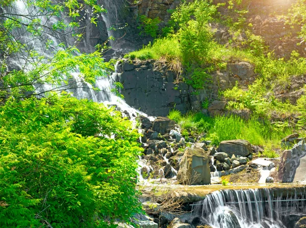 Güneş ışığı, yeşil ormanlarla çevrili çok güzel su jetleri altında güzel şelale. — Stok fotoğraf
