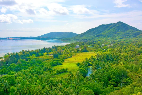 Hermosa vista de la laguna con arena blanca y palmeras, mar turquesa. vista desde la parte superior . — Foto de Stock