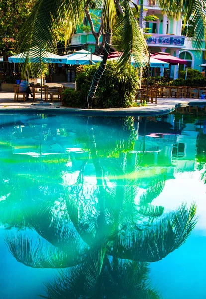 Beautiful, high Palm tree in front of the swimming pool, Palma is reflected in the water basin — Stock Photo, Image