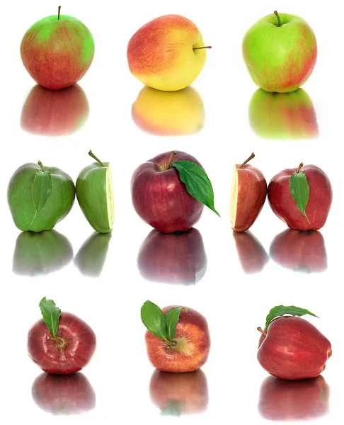 Beaucoup de pommes différentes sur un fond blanc, pommes rouges et jaunes sans fond, beaucoup de différents . — Photo