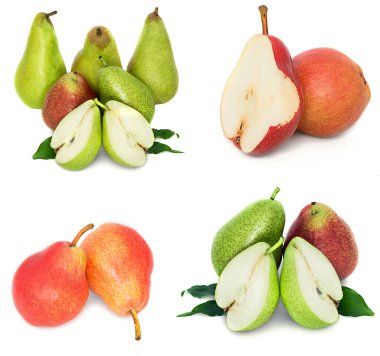 çok büyük, olgun, parlak armut. Armut beyaz bir arka plan, bütün ve kesit.