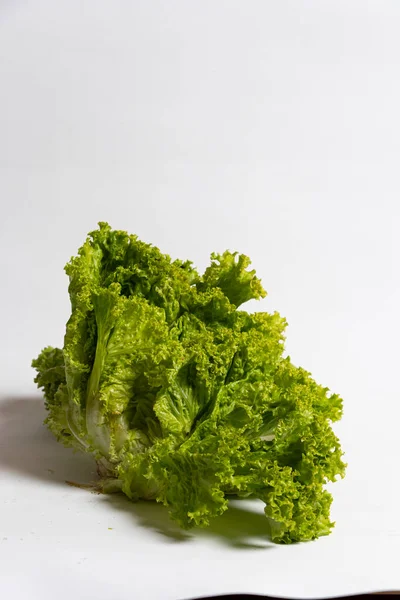 Lechuga verde crespa en fondo blanco para e-ticaret