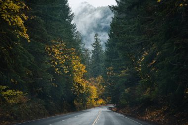 Sonbaharda Oregon 'da 58 numaralı yolun fotoğrafı.