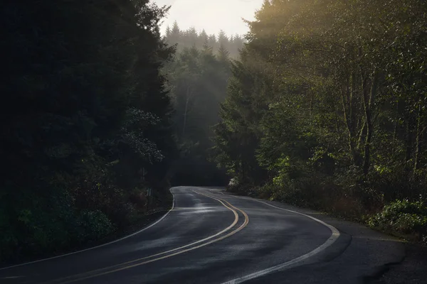 Фото Старих Woods Дороги Штаті Орегон — стокове фото