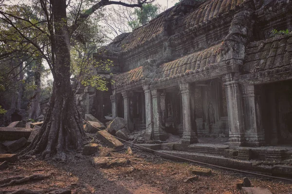 Фото Храма Ангкор Камбодже — стоковое фото