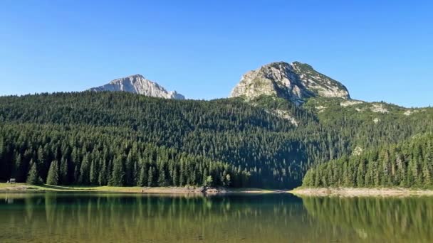 Svart Sjö Nationalparken Durmitor Montenegro — Stockvideo