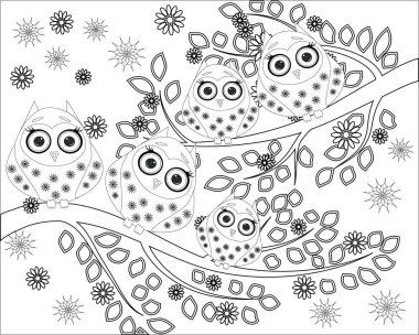 Yetişkin yaş ve üstü çocuklar için boyama kitabı. Boyama sayfası ile şirin baykuş ve çiçek.