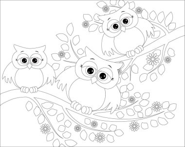 Yetişkin yaş ve üstü çocuklar için boyama kitabı. Boyama sayfası ile şirin baykuş ve çiçek.