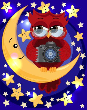 Gözlük takan bir kırmızı tatlı baykuş ve ile gece ve yıldızların ortasında ay üzerinde bir kamera oturur. Fotoğraf iş, fotoğrafçı, Meslek, meslek