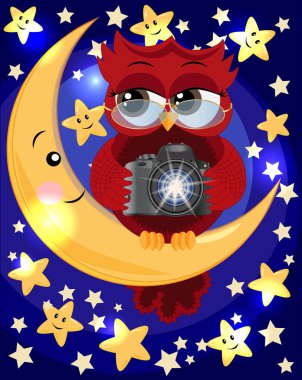 Gözlük takan bir kırmızı tatlı baykuş ve ile gece ve yıldızların ortasında ay üzerinde bir kamera oturur. Fotoğraf iş, fotoğrafçı, Meslek, meslek