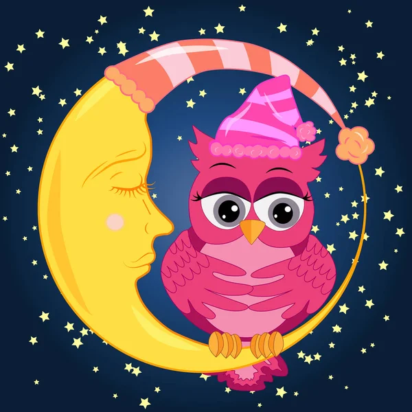 Sweet Fairy Tale Pink Owl Hat Dream Dreams Sings Lullaby — Stock Vector